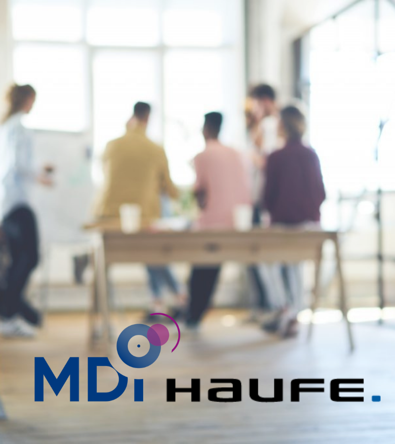 Team MDI & HAUFE